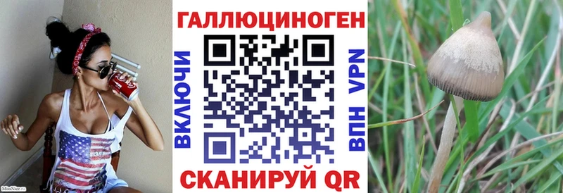 Псилоцибиновые грибы мухоморы Нижневартовск